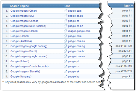 Search Engine Ranking Report