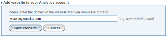 Enter URL and Click Save Website Button Enter URL and Click Save Website Button