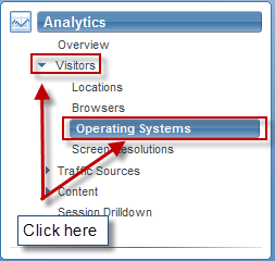 Select Analytics -> Visitors -> Operating Systems from the menu