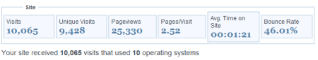 Visitor Operating System Summary