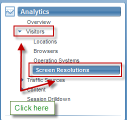 Select Analytics -> Visitors -> Screen Resolutions from the menu