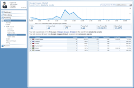 Search Engine Keyword Reports