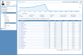 Search Term Reports