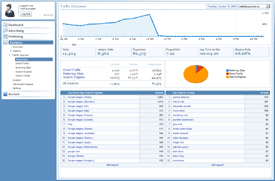 Traffic Soources Overview